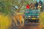 Engage in thrill of Jungle Safari with Expert Trackers
