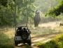 Thrilling Jungle Safari Experience in Rajasthan