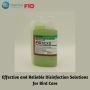 Effective and Reliable Disinfection Solutions for Bird Care