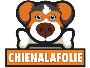 Manteau Imperméable Pour Chien : Idéal Pour Les Jours Pluvie