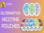 Discover the Benefits of Alternative Nicotine Pouches 