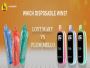 Lost Mary vs Flum Mello, Which Disposable Wins?