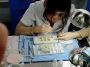 Dental Outsourcing Partner in China: Streamline Your Practic