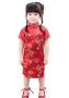 Hooyi Baby Girls Chinese Traditional Qipao