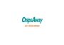 ChipsAway Carcare Stockport Ltd