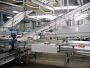 Revolutionizing Food Production: Advanced Automated Solution