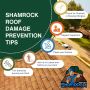 Roofing in Round Rock