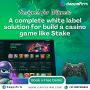  white label stake clone software