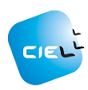 BFSI Online Course - CIEL BFSI Online Course - CIEL