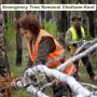 Emergency Tree Removal in Chatham-Kent by CK Tree Care