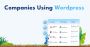 Companies Using WordPress in USA – Target Active Users