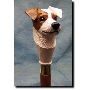 Walking Canes Dog Breeds