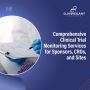 Comprehensive Clinical Trial Monitoring Services for Sponsor