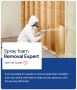 Trusted Spray Foam Removal for Property Sales & More!