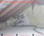 Spray Foam Removal from Roofs & Lofts – UK Services!