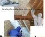 Spray Foam Insulation Removal Company