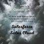 Boost Your Business with Salesforce Solutions!