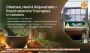 Revitalize Your Health Through Ancient Ayurvedic Wisdom