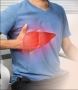Ayurvedic Liver Treatment Hospital in Panchkula
