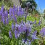 Dorset Landscaping and Building Limited Dorset Landscaping and Building Limited