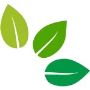 Join Our Executive Coaching Services In Jeddah For Professio