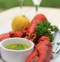 Bath Maine Lobster Bath Maine Lobster