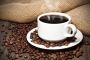 Freshly Roasted Coffee Beans Online