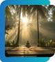Bipolar Disorder Treatments