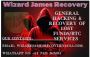 Wizard James Recovery is the Best Crypto Asset Recovery firm