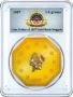 Central America Shipwreck Gold Nuggets 1.5 Grams PCGS Certif Central America Shipwreck Gold Nuggets 1.5 Grams PCGS Certif