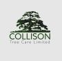 Collison Tree Care | Tree Surgeons Bedfordshire