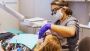 Biological & Cosmetic Dentistry Services in Denver, CO