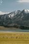 Romantic Kashmir Honeymoon Tour Packages | Colorful Destinat