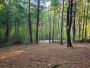 Mountain Land for Sale NC, 10 Acres of Land for Sale in Nort
