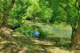 Mountain View Properties for Sale in NC – Compass Land Group