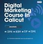 Professional Digital Marketing Course Calicut