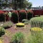 Garden Maintenance Service