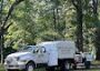 Complete Tree Service Complete Tree Service