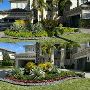 Landscape Design Wellington