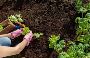 Landscape Design Wellington Landscape Design Wellington