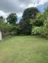 5,377sqm Agricultural Land For Sale in Tanauan Batangas 5,377sqm Agricultural Land For Sale in Tanauan Batangas