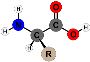 Amino acids