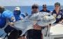 Extended Fishing Charters Townsville: Stay Longer, Catch Mor