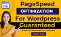  will increase wordpress speed for better user experience