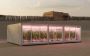 Container Farming in the UAE: A Smarter Way to Grow Fresh Fo