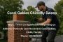 Chimney Sweep
