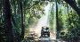 Jeep Safari Booking in Jim Corbett National Park