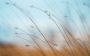 Effective Counselling for Anxiety and Depression in Lewe
