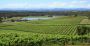 Find the Best Hunter Valley Private Tours 