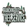 Tree Service Suffolk County Amityville